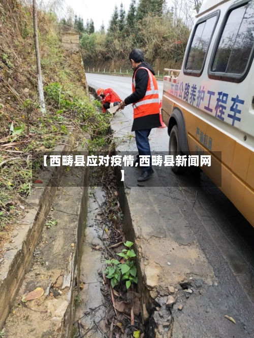 【西畴县应对疫情,西畴县新闻网】-第2张图片