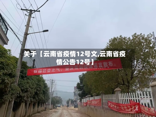 关于【云南省疫情12号文,云南省疫情公告12号】