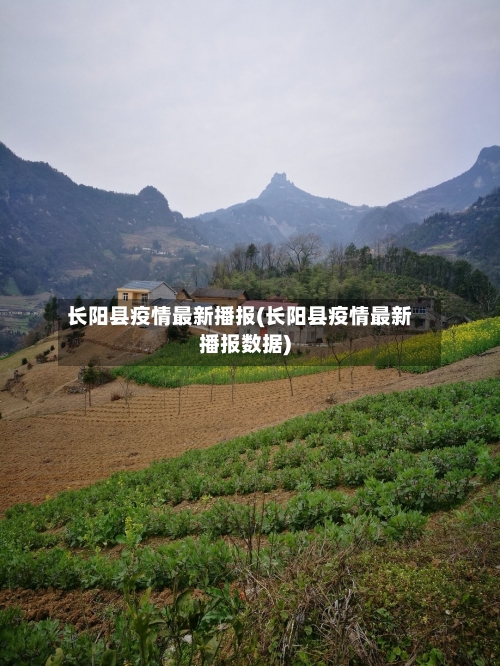 长阳县疫情最新播报(长阳县疫情最新播报数据)-第3张图片