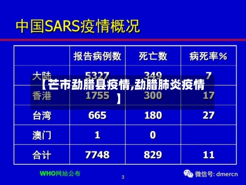 【芒市勐腊县疫情,勐腊肺炎疫情】-第2张图片