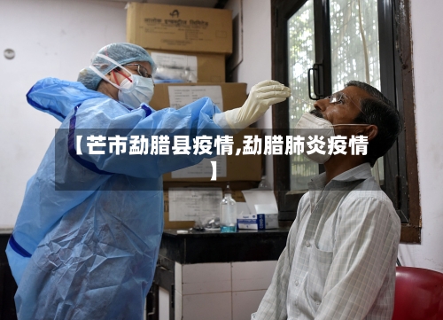 【芒市勐腊县疫情,勐腊肺炎疫情】
