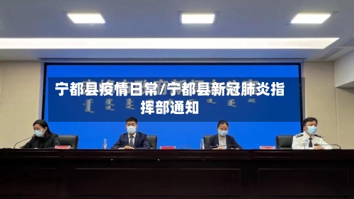 宁都县疫情日常/宁都县新冠肺炎指挥部通知-第2张图片