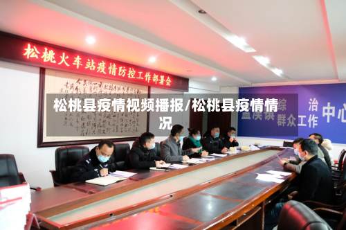 松桃县疫情视频播报/松桃县疫情情况-第3张图片