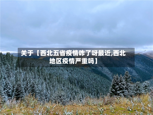 关于【西北五省疫情咋了呀最近,西北地区疫情严重吗】-第3张图片