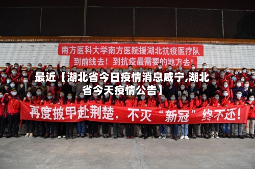 最近【湖北省今日疫情消息咸宁,湖北省今天疫情公告】-第2张图片