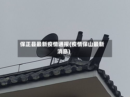 保正县最新疫情通报(疫情保山最新消息)-第2张图片