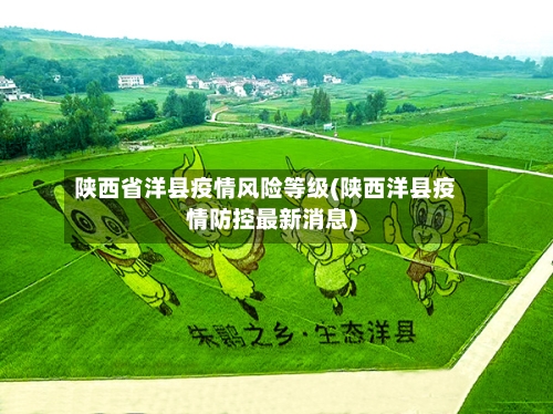 陕西省洋县疫情风险等级(陕西洋县疫情防控最新消息)
