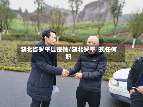 湖北省罗平县疫情/湖北罗平烺现任何职-第2张图片
