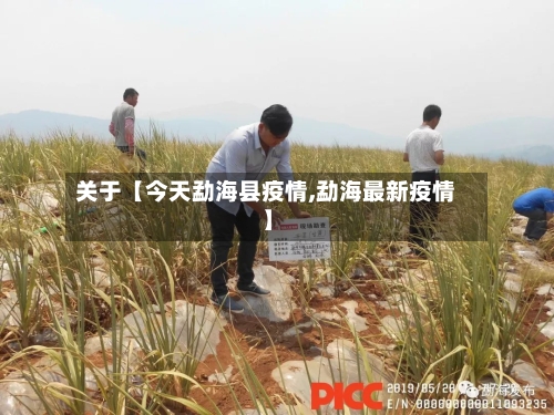 关于【今天勐海县疫情,勐海最新疫情】
