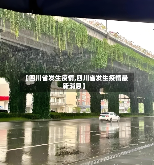 【四川省发生疫情,四川省发生疫情最新消息】-第2张图片
