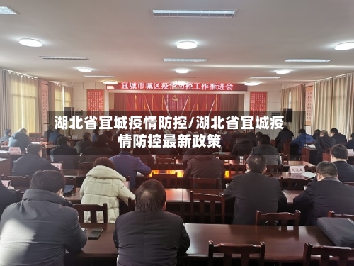湖北省宜城疫情防控/湖北省宜城疫情防控最新政策-第2张图片