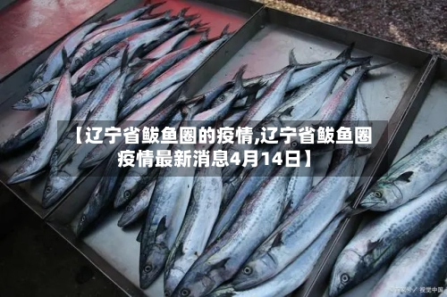 【辽宁省鲅鱼圈的疫情,辽宁省鲅鱼圈疫情最新消息4月14日】-第3张图片