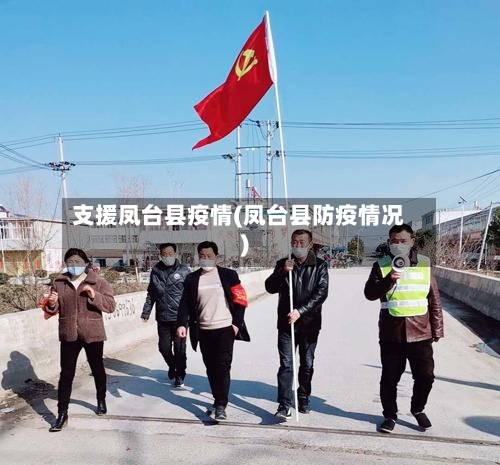 支援凤台县疫情(凤台县防疫情况)