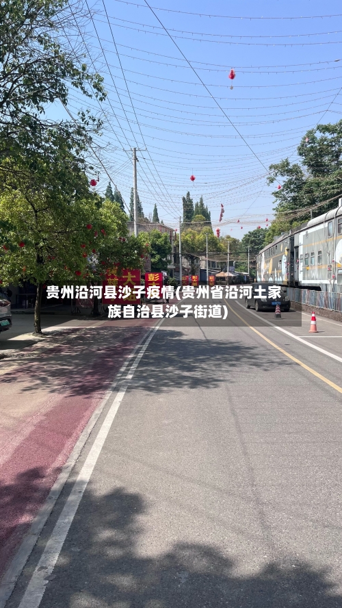 贵州沿河县沙子疫情(贵州省沿河土家族自治县沙子街道)