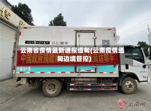 云南省疫情最新通报缅甸(云南疫情缅甸边境管控)-第2张图片