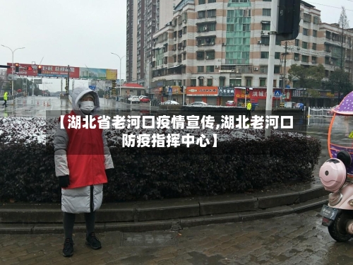 【湖北省老河口疫情宣传,湖北老河口防疫指挥中心】-第2张图片
