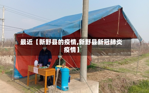 最近【新野县的疫情,新野县新冠肺炎疫情】-第3张图片