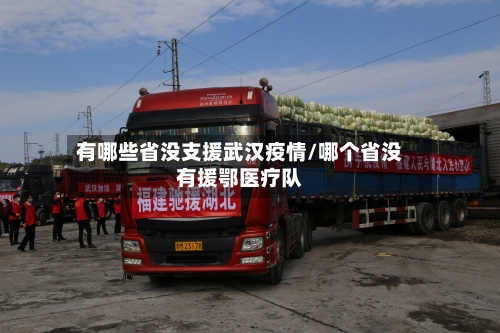 有哪些省没支援武汉疫情/哪个省没有援鄂医疗队-第2张图片