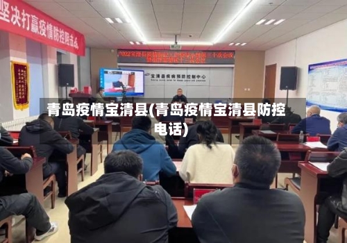青岛疫情宝清县(青岛疫情宝清县防控电话)-第2张图片