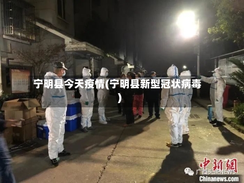 宁明县今天疫情(宁明县新型冠状病毒)-第2张图片
