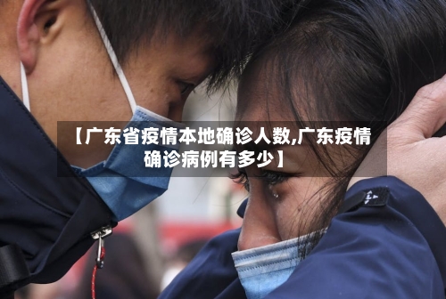 【广东省疫情本地确诊人数,广东疫情确诊病例有多少】-第3张图片