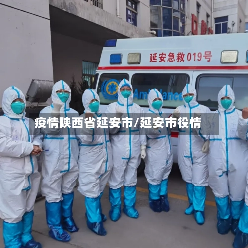 疫情陕西省延安市/延安市役情-第3张图片