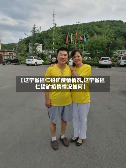 【辽宁省桓仁铅矿疫情情况,辽宁省桓仁铅矿疫情情况如何】