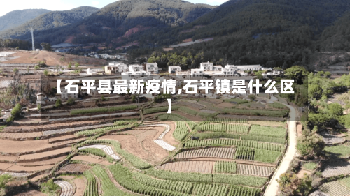 【石平县最新疫情,石平镇是什么区】-第3张图片