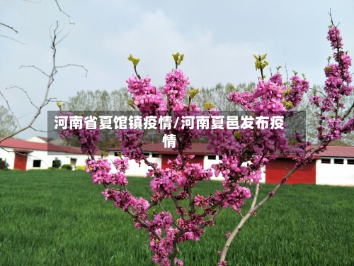 河南省夏馆镇疫情/河南夏邑发布疫情