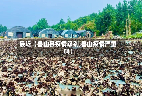 最近【鲁山县疫情级别,鲁山疫情严重吗】