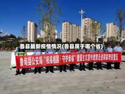 鲁县最新疫情情况(鲁县属于哪个省)-第2张图片