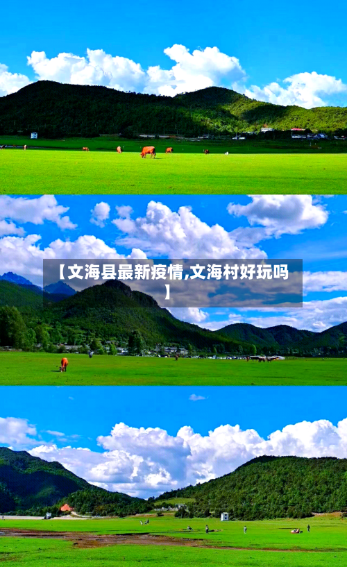 【文海县最新疫情,文海村好玩吗】-第2张图片