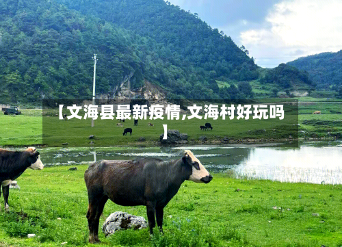 【文海县最新疫情,文海村好玩吗】