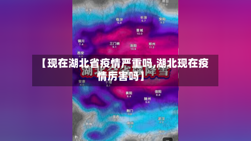 【现在湖北省疫情严重吗,湖北现在疫情厉害吗】-第2张图片