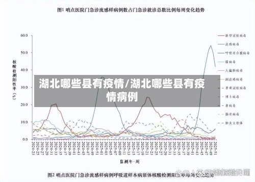 湖北哪些县有疫情/湖北哪些县有疫情病例-第3张图片