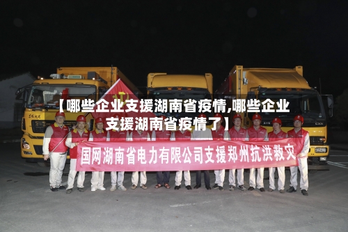 【哪些企业支援湖南省疫情,哪些企业支援湖南省疫情了】