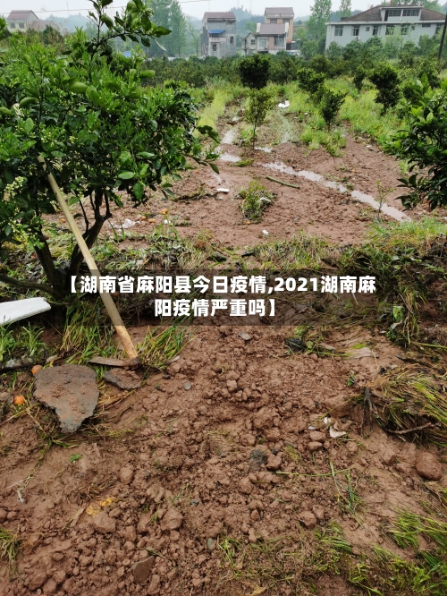 【湖南省麻阳县今日疫情,2021湖南麻阳疫情严重吗】-第2张图片