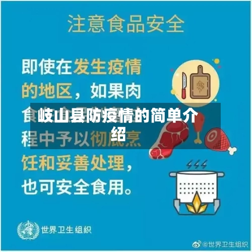 岐山县防疫情的简单介绍