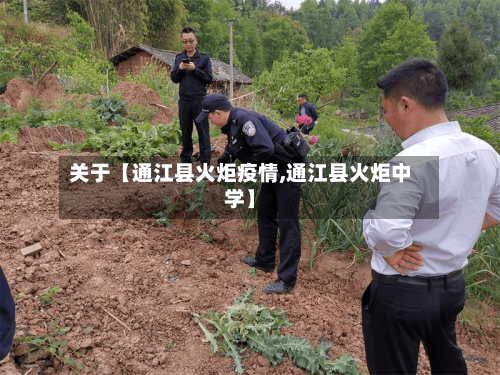 关于【通江县火炬疫情,通江县火炬中学】-第2张图片
