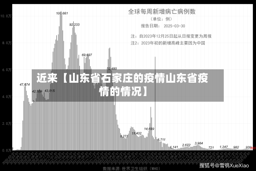 近来【山东省石家庄的疫情山东省疫情的情况】-第2张图片
