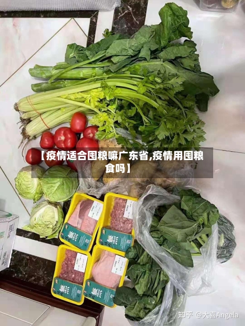 【疫情适合囤粮嘛广东省,疫情用囤粮食吗】-第2张图片