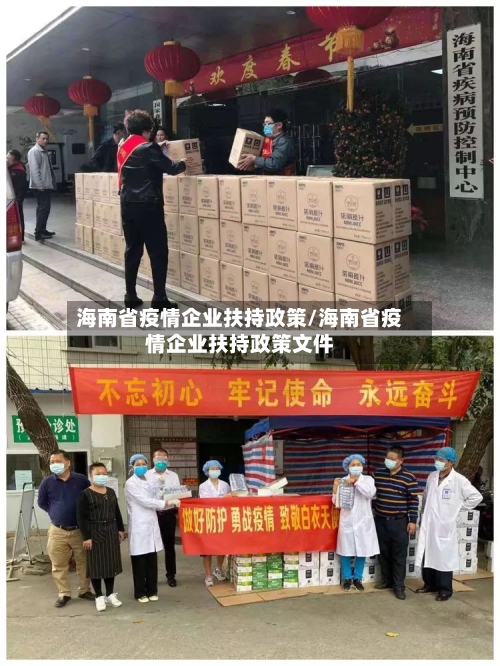 海南省疫情企业扶持政策/海南省疫情企业扶持政策文件