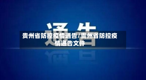 贵州省防控疫情通告/贵州省防控疫情通告文件-第3张图片