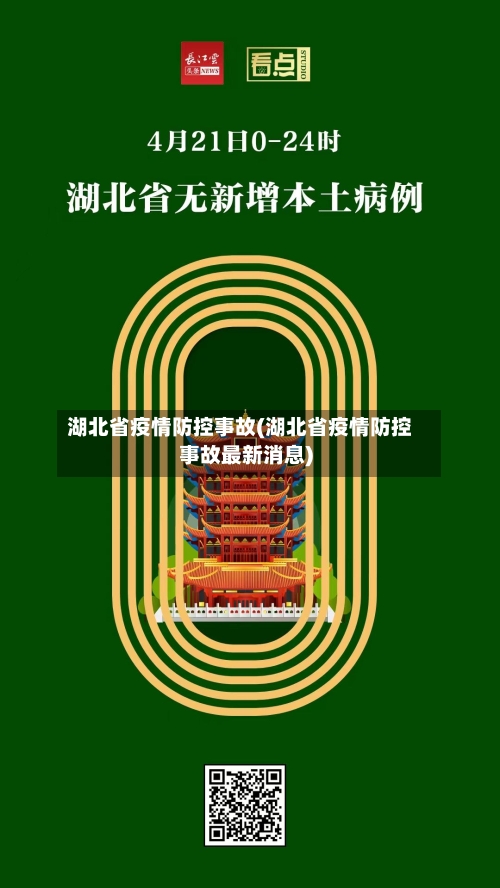 湖北省疫情防控事故(湖北省疫情防控事故最新消息)
