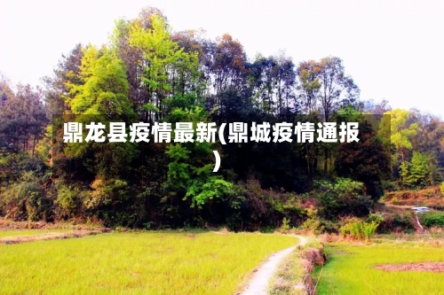 鼎龙县疫情最新(鼎城疫情通报)