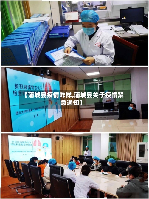 【蒲城县疫情咋样,蒲城县关于疫情紧急通知】-第3张图片