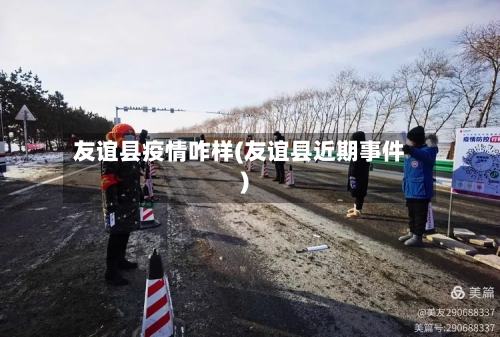 友谊县疫情咋样(友谊县近期事件)