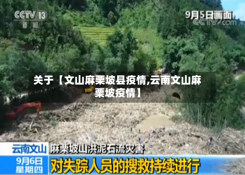 关于【文山麻栗坡县疫情,云南文山麻栗坡疫情】-第2张图片