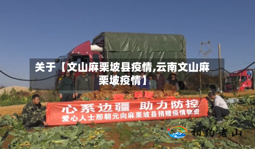 关于【文山麻栗坡县疫情,云南文山麻栗坡疫情】