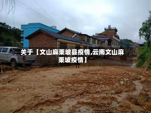 关于【文山麻栗坡县疫情,云南文山麻栗坡疫情】-第3张图片